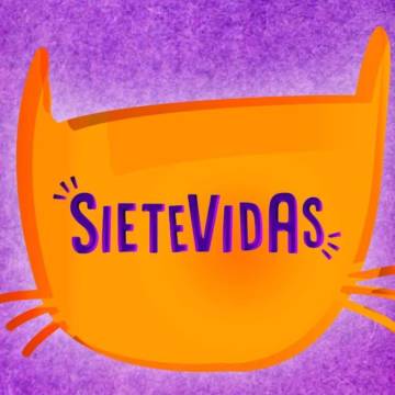 Sietevidas, la gatópera