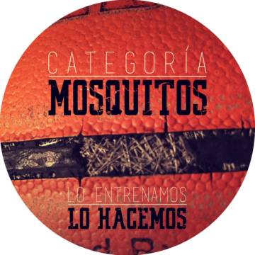 Categoría Mosquitos