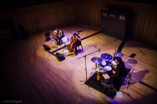 Rafael Delgado Trío y Ensamble de percusión UNA