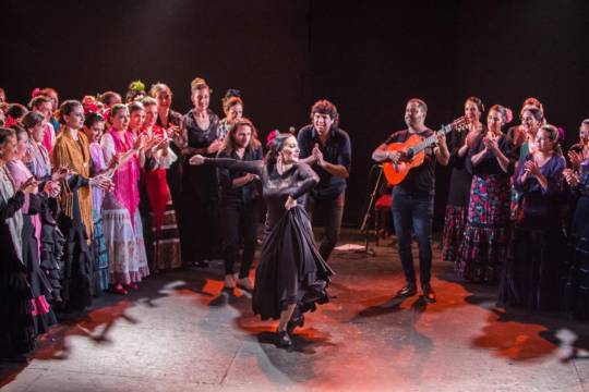 Bailamos flamenco con Guadalupe Aramburu